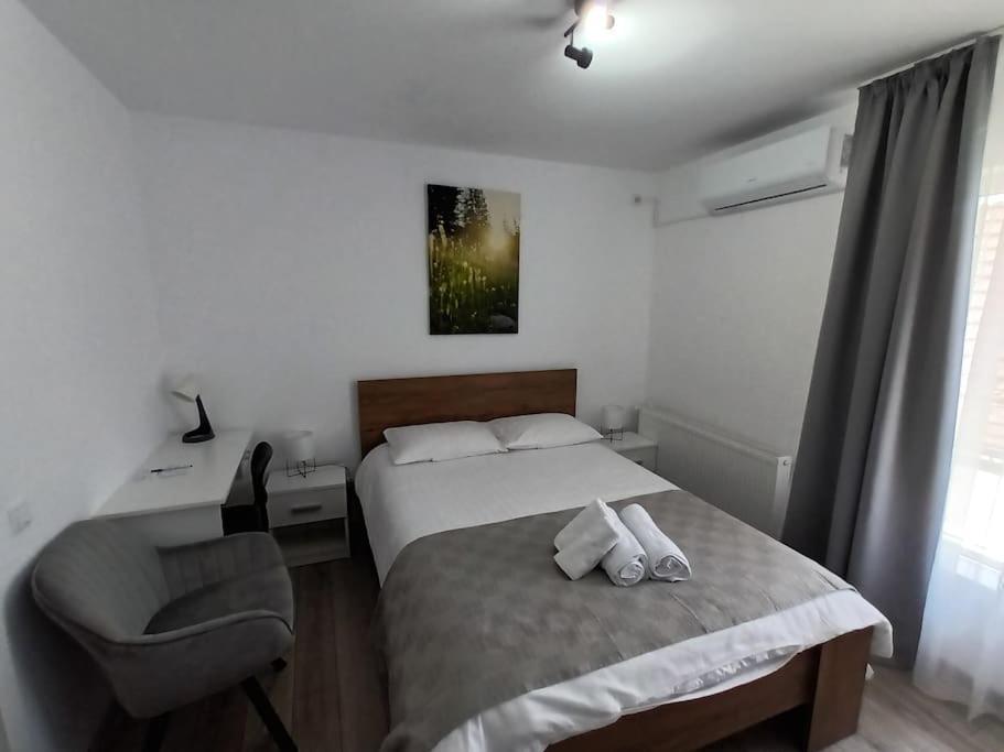 Old Town Studio 2 Apartment Nr 4 Baia Mare Zewnętrze zdjęcie