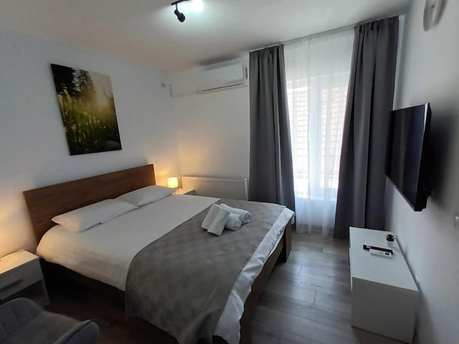 Old Town Studio 2 Apartment Nr 4 Baia Mare Zewnętrze zdjęcie