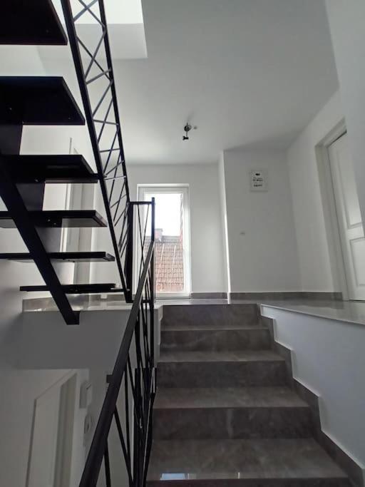 Old Town Studio 2 Apartment Nr 4 Baia Mare Zewnętrze zdjęcie